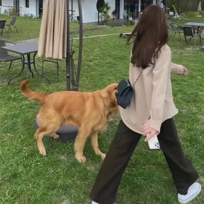 猎杀之后
